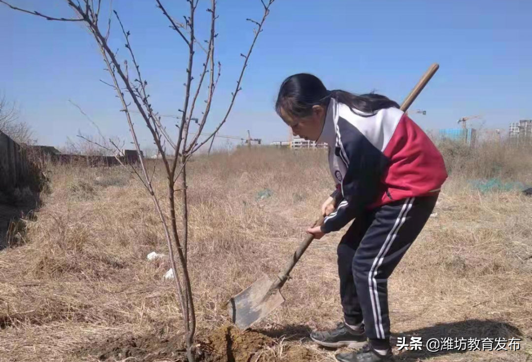 周播报 | 潍坊校园新闻（03.07—03.13）