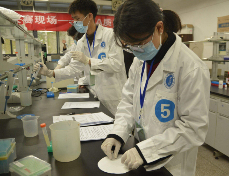 毕业后才明白，不适合考公务员的专业，大学生想进“体制内”很难