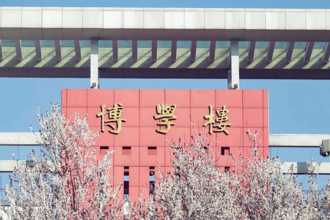 权威发布 ！西南政法大学2022年本科招生章程