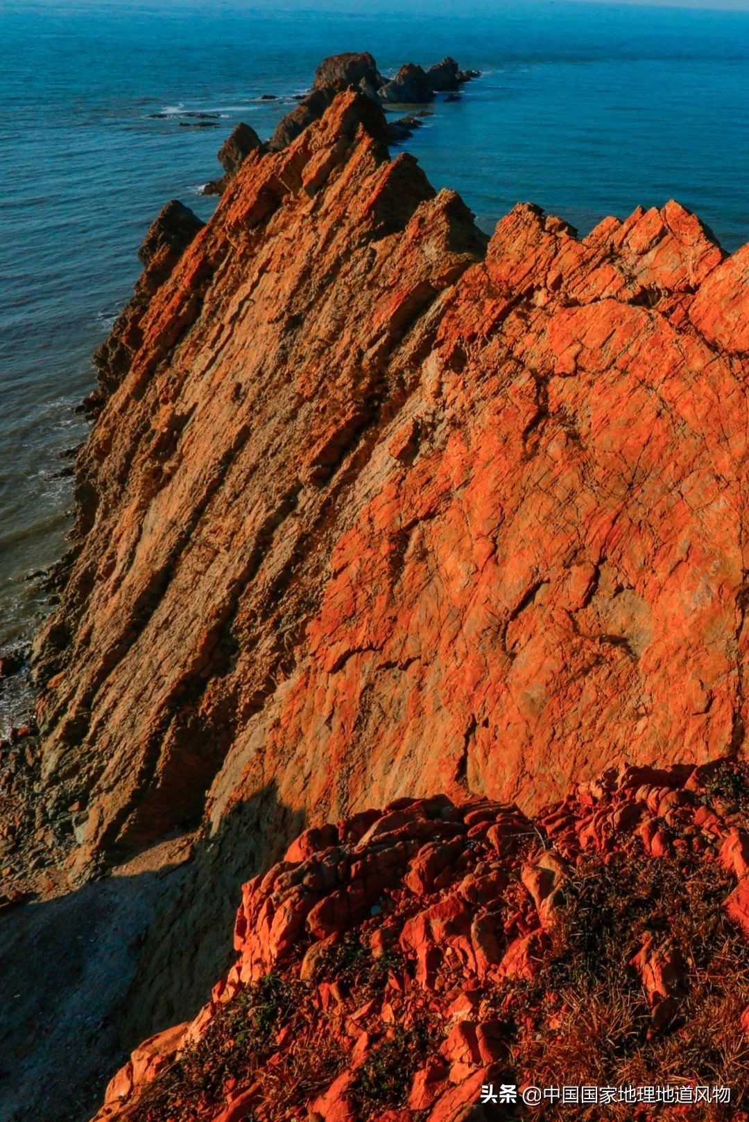 辽宁，被忽略的海鲜大省