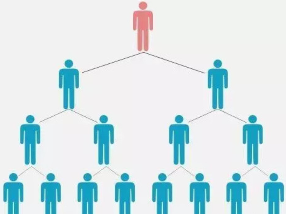 支撑互联网类项目的团队为什么必须是典型的学习型组织