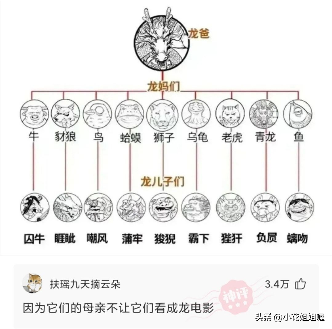 爆笑神回复：当你发现多年的好兄弟是个女的时候，你会怎么办？