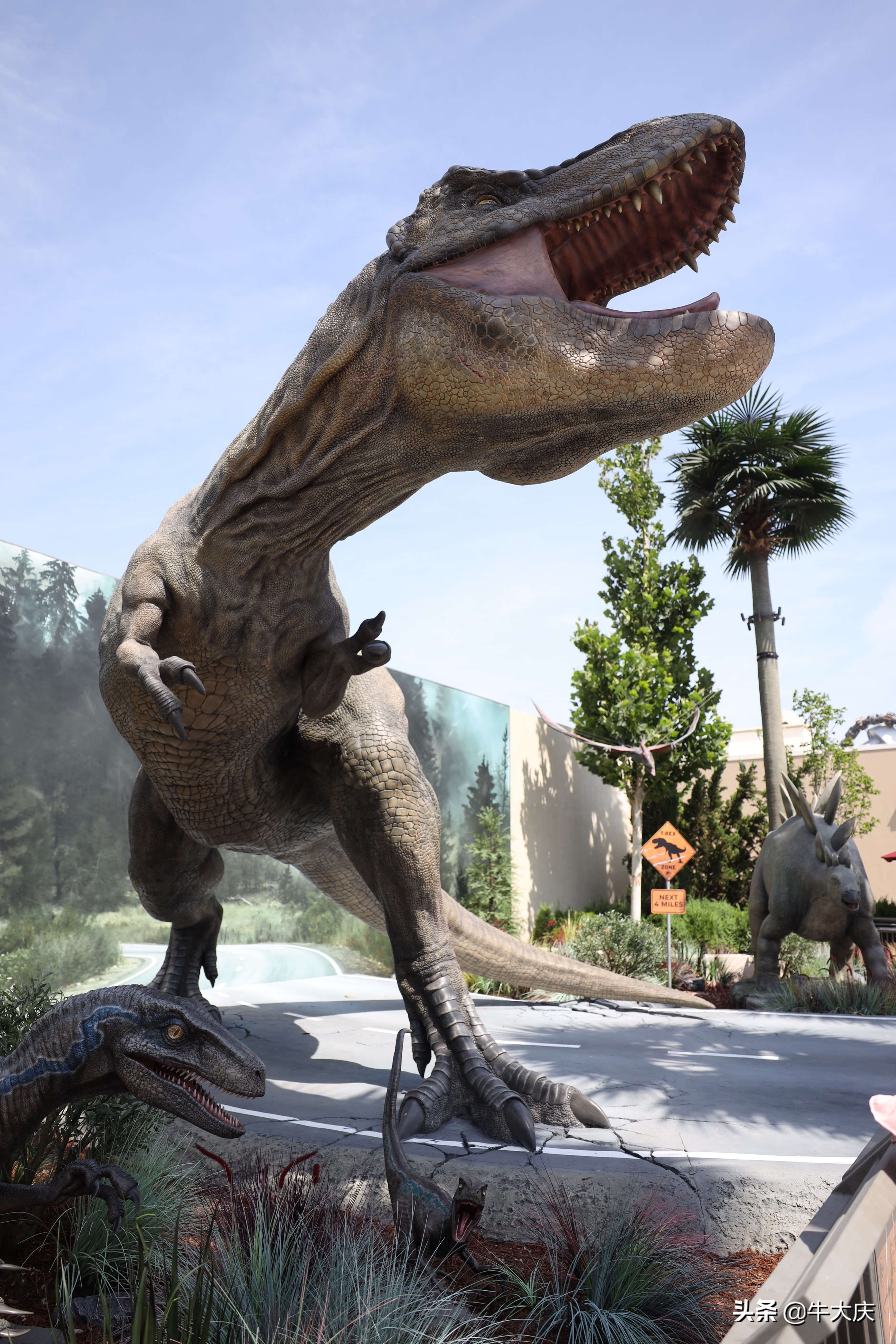 北京环球影城今日重新开园 模拟真实体型恐龙联动《侏罗纪世界3》