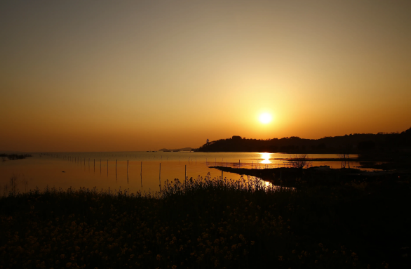夏天落日余晖处的宿鸭湖(散文)