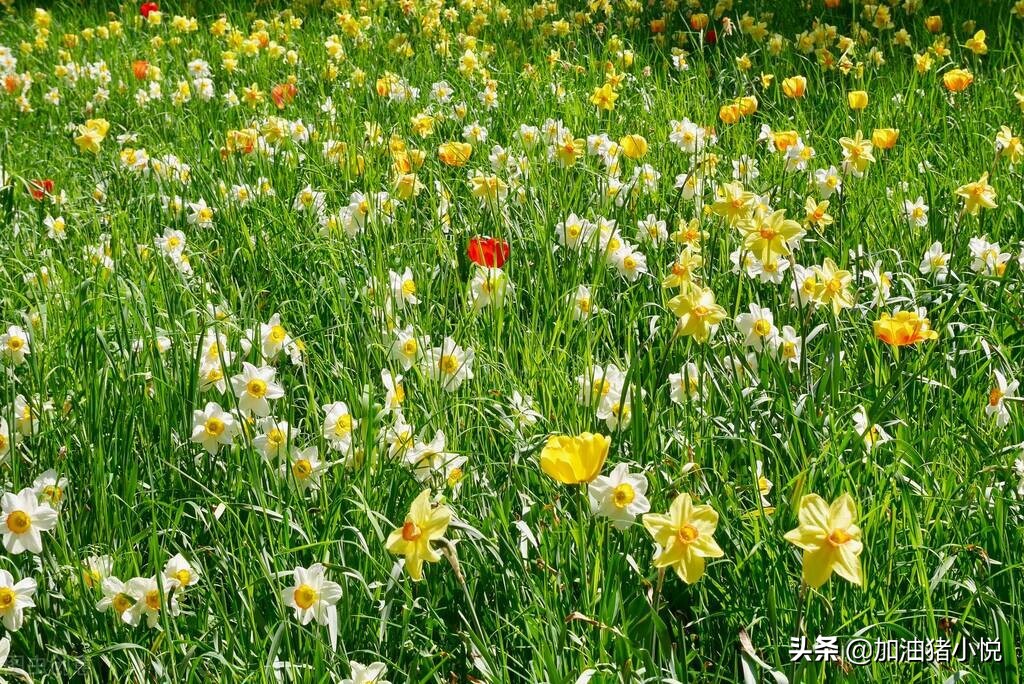 年轻人一定要做自媒体，原因如此