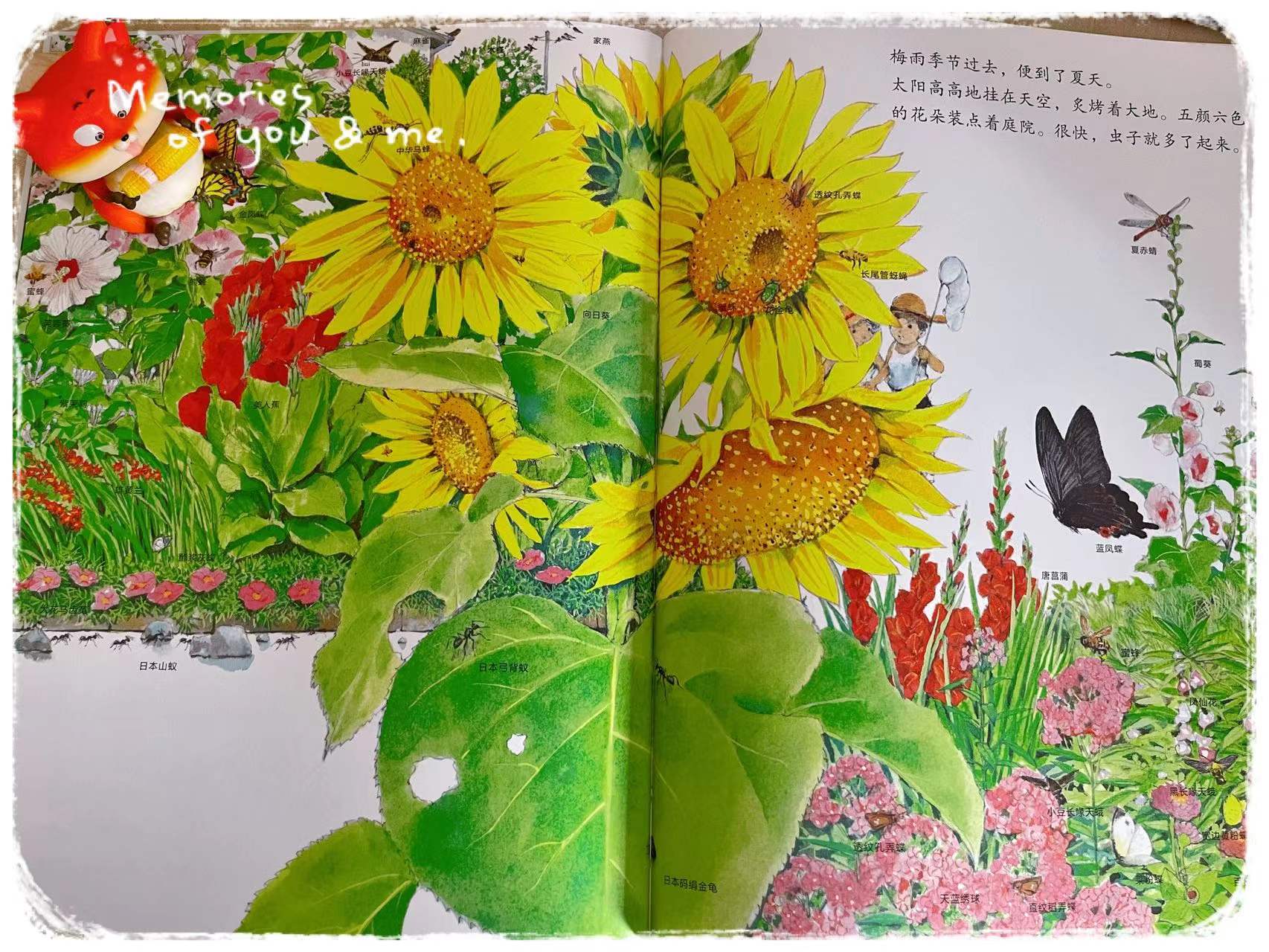 带孩子感受春花、夏风、秋月、冬雪的美好四季