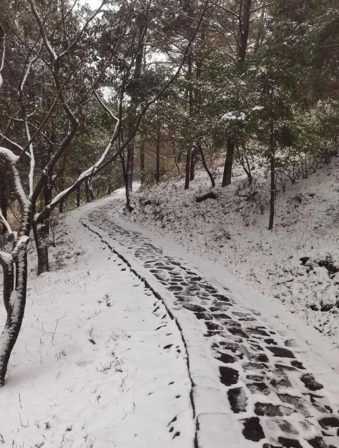 宁波玩雪攻略，下一场雪即将到来，提前码住即刻出发