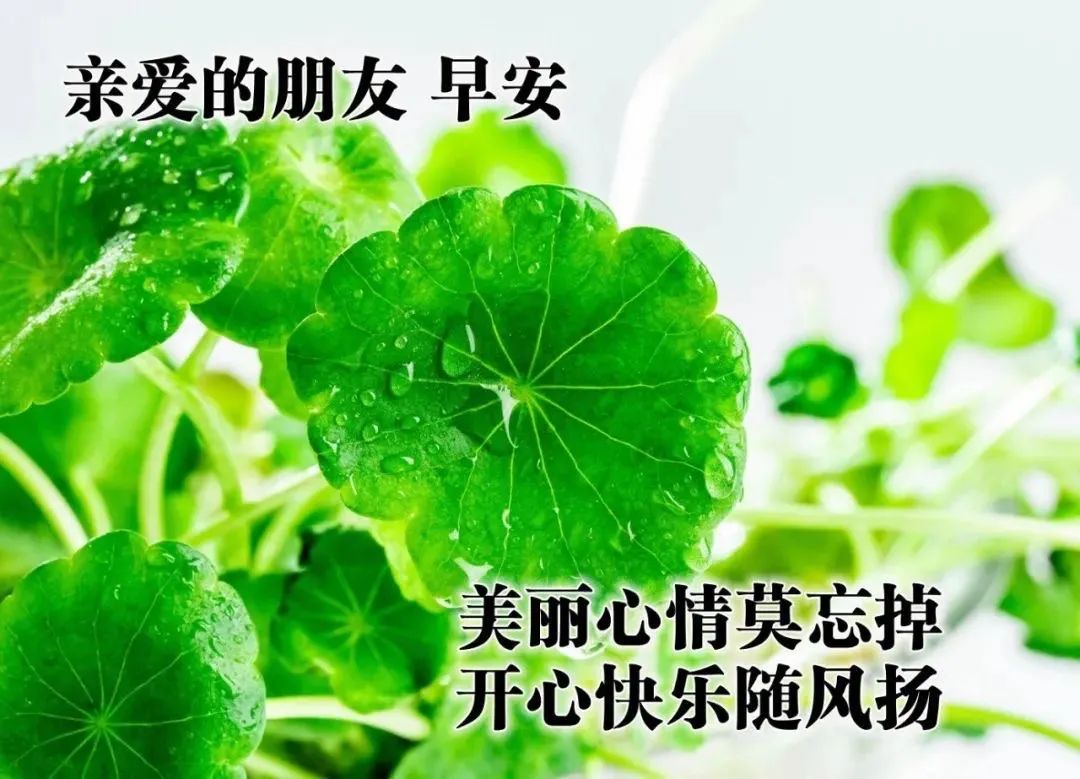 「2022.05.23」早安心语，正能量问候语 激励人心的朋友圈短句文案