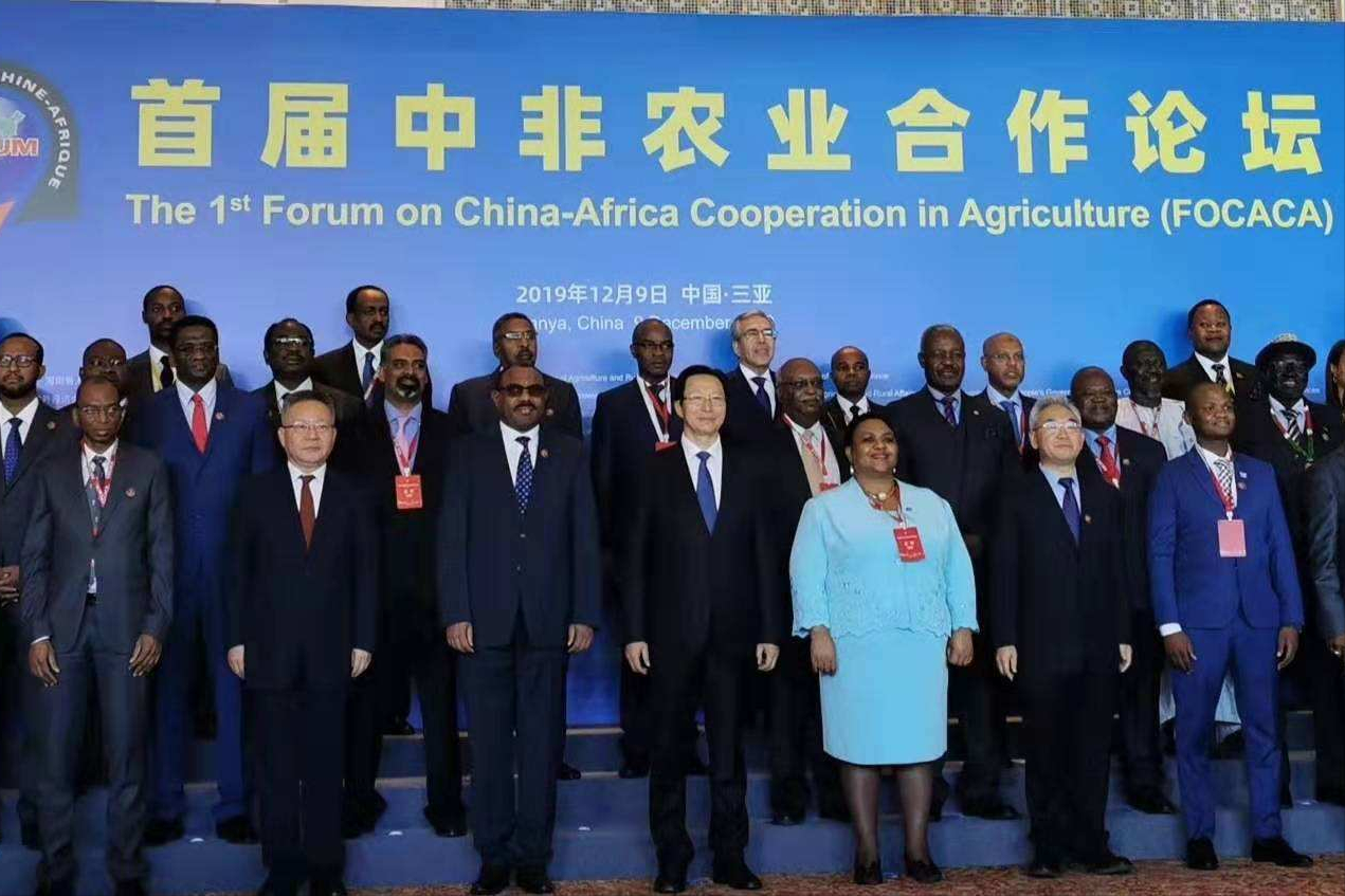 黑色污染变黑色黄金？非洲大量进口我国废旧轮胎，究竟有何用途？