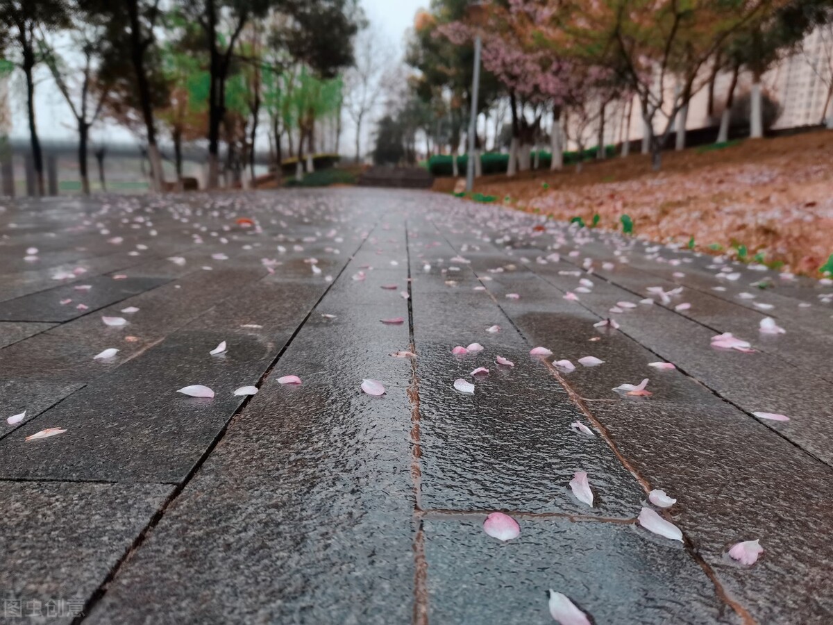 天气预报：今日三月初一，下雨天气，有啥说法？看看农谚咋说