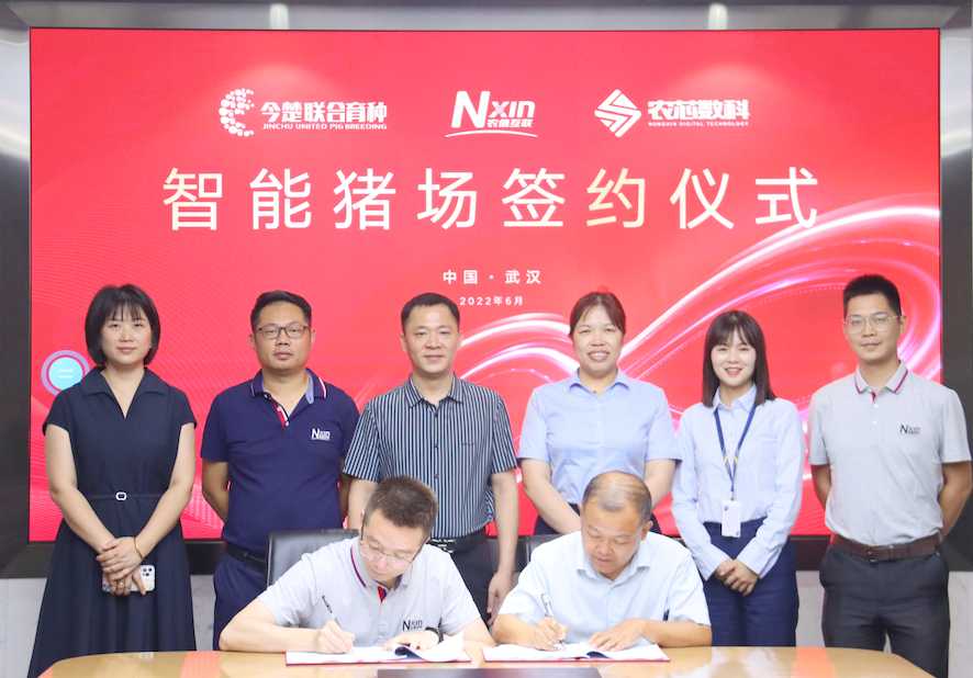 融数智·创未来 | 农信互联与今楚联合育种签署智能猪场合作协议