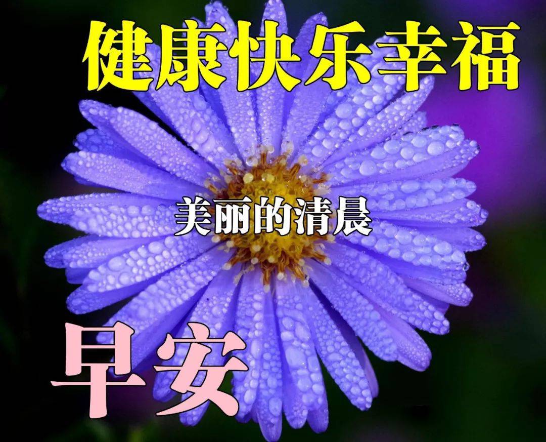 早晨好深深祝福，昨天挺好、今天很好、 明天会更美好，未来可期图片