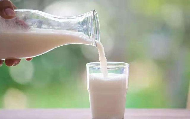 喝牛奶和不喝牛奶，差别很大吗？医生对比，得出喝牛奶的4个好处
