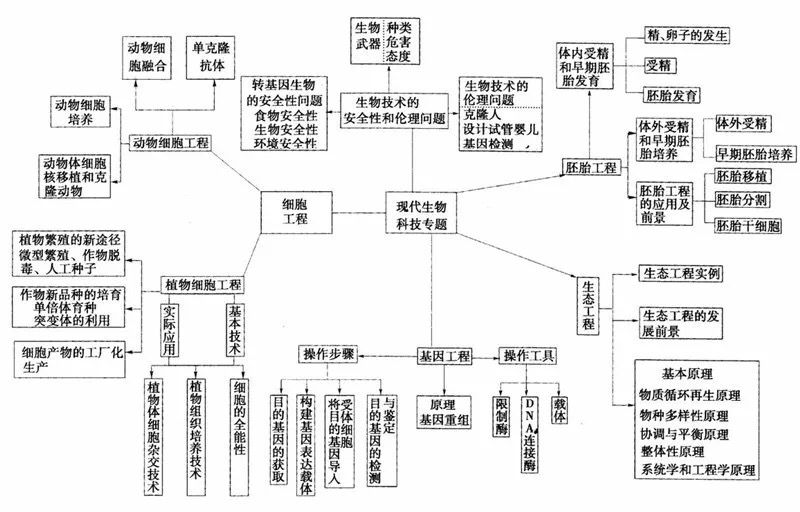 草履虫结构图(初中生物：重要知识点图解，内容清晰明了、简单易懂)