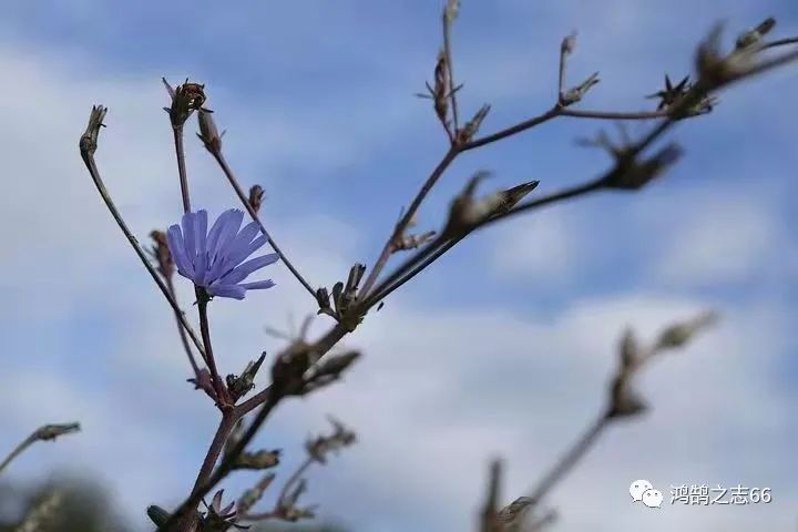 成功没有捷径，唯有坚持不懈