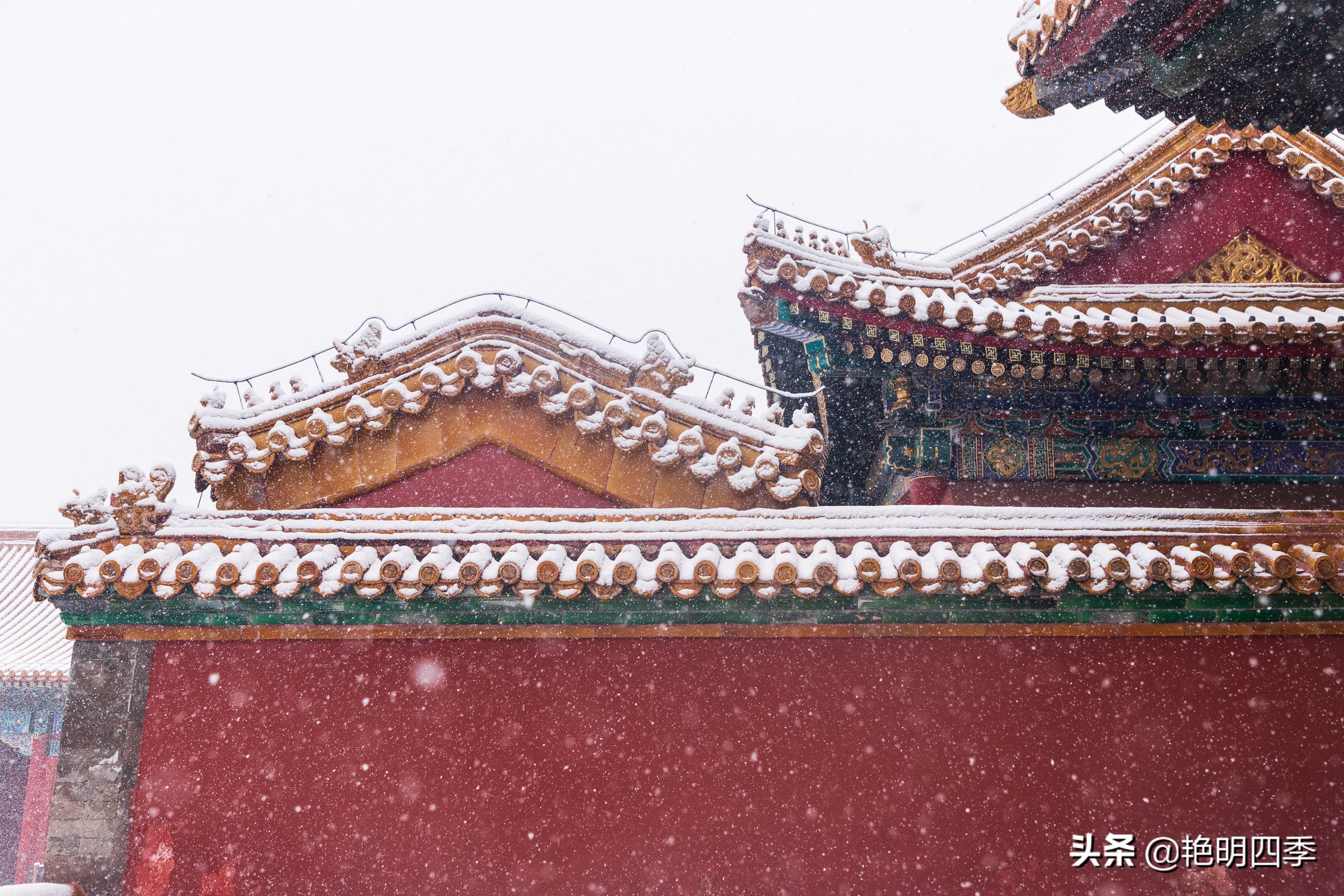 春天里，在紫禁城看一场大雪，与冬天做一个郑重的告别