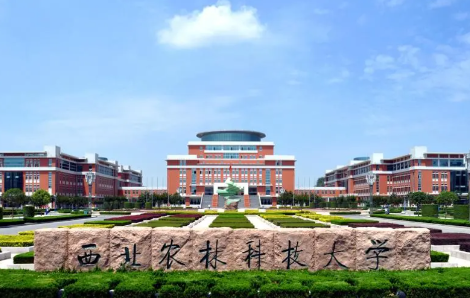 211高校金字塔排名已更新，人民大学跻身第1档，西北农林无缘前3