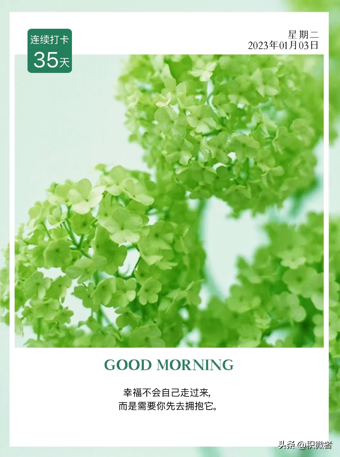 又到了今日小总结时刻啦惊喜