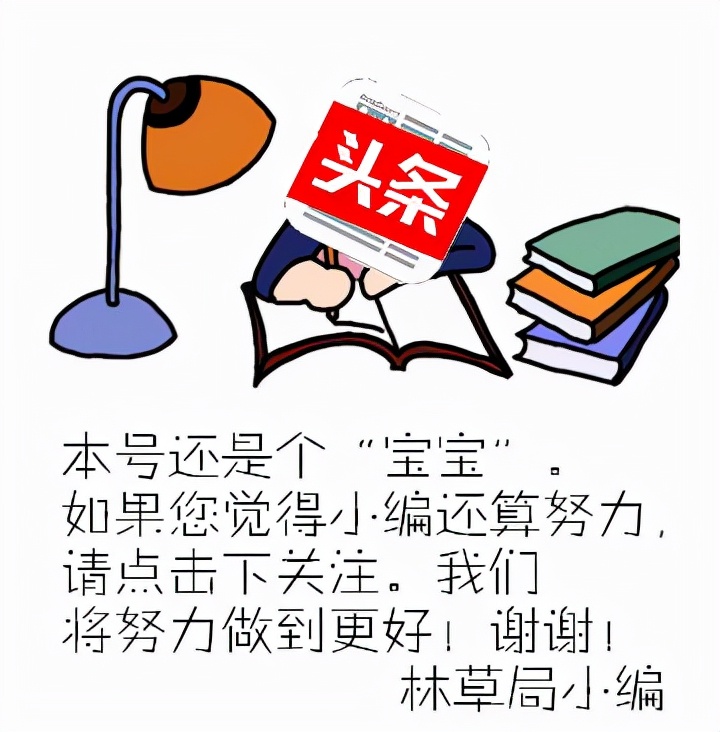让更多“新林人”成为“兴林人”
