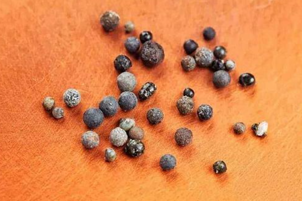 从科学的角度进行解释:舍利子这种物质,到底是什么?