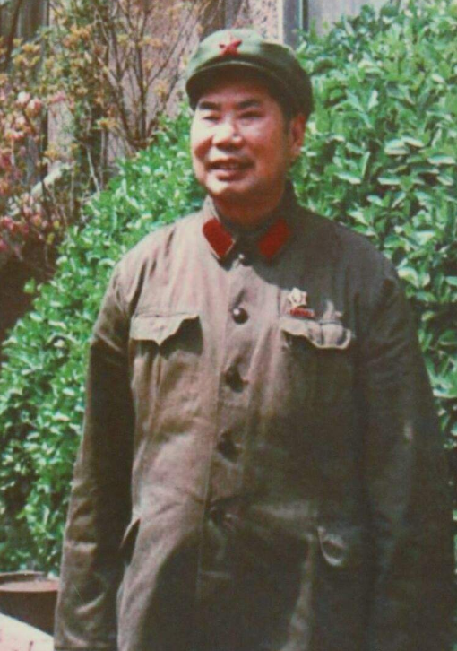 1950年杨得志赴京接受任务，朱德接见：彭德怀点名要你的十九兵团