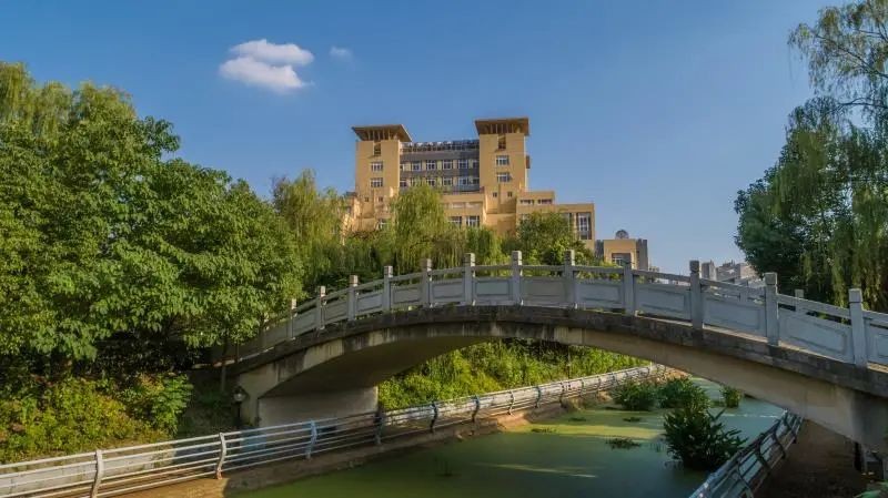 牛！合并组建20年，就冲进大陆前10！湖北这所大学未来可期