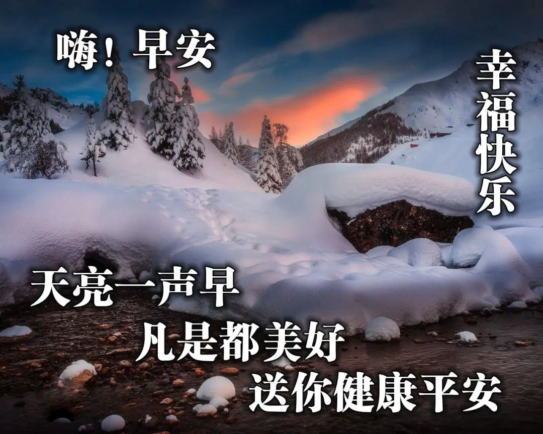 早上好，真心朋友，祝你早安开心、下午舒心、晚上欢心图片