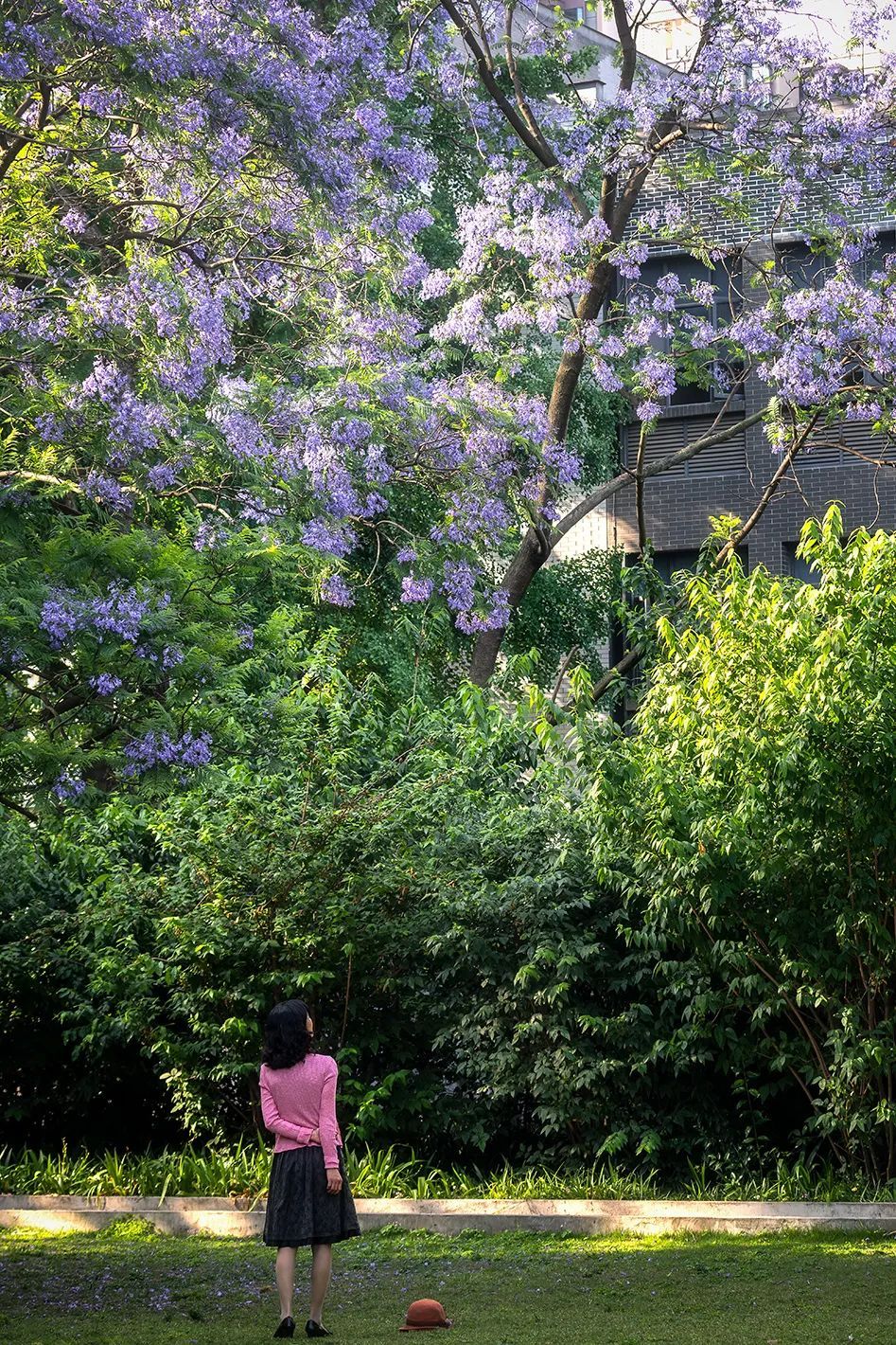 倒计时1天，高考加油！四川大学已准备好，等你赴约！