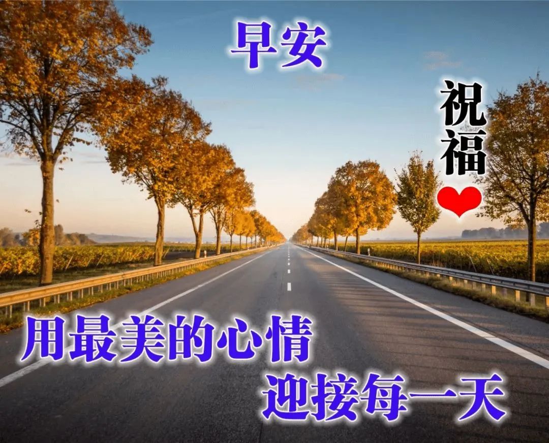 早上好的问候美句 特别暖心的早安句子配图片（精选10句）图片