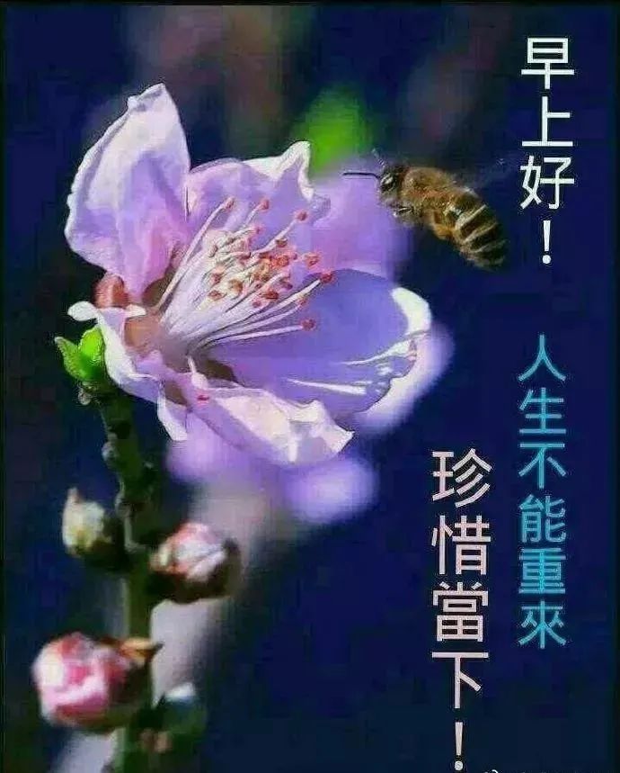 初夏清晨早上好动态图片 祝福大家快乐长久、身体健康图片