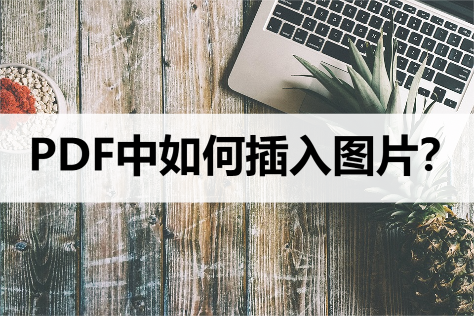 wps插入图片步骤(手机怎么在PDF中插入图片？插入图片方法教程)