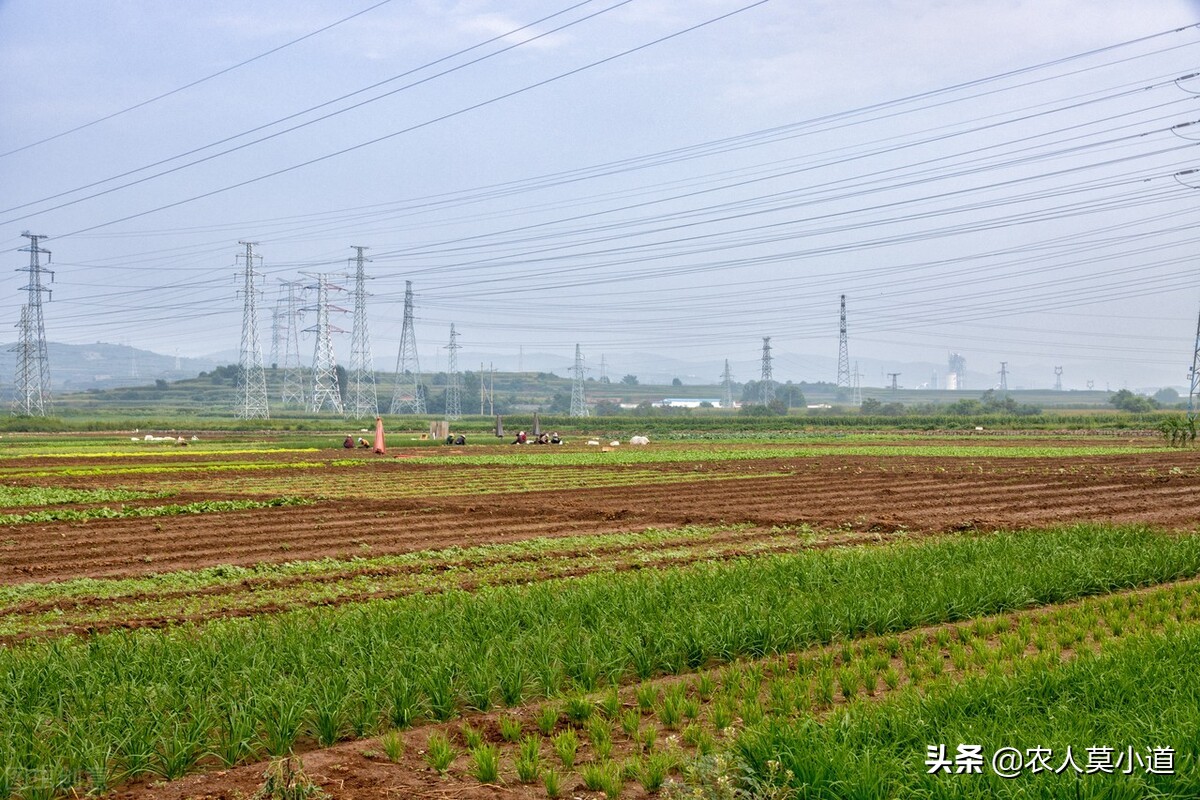 在农村里面去承包土地，能不能够赚到钱？