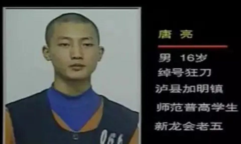 2001年四川5人成立新龙会，3个月发展近百成员，设神偷堂专偷农民