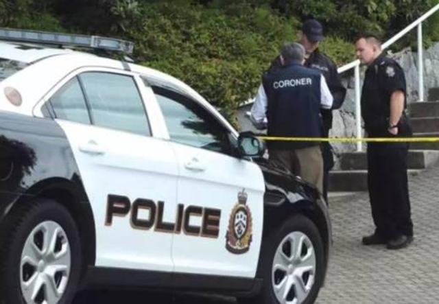 2015年华人富豪苑刚被害案：死后7个孩子来认父，其中5个为亲生