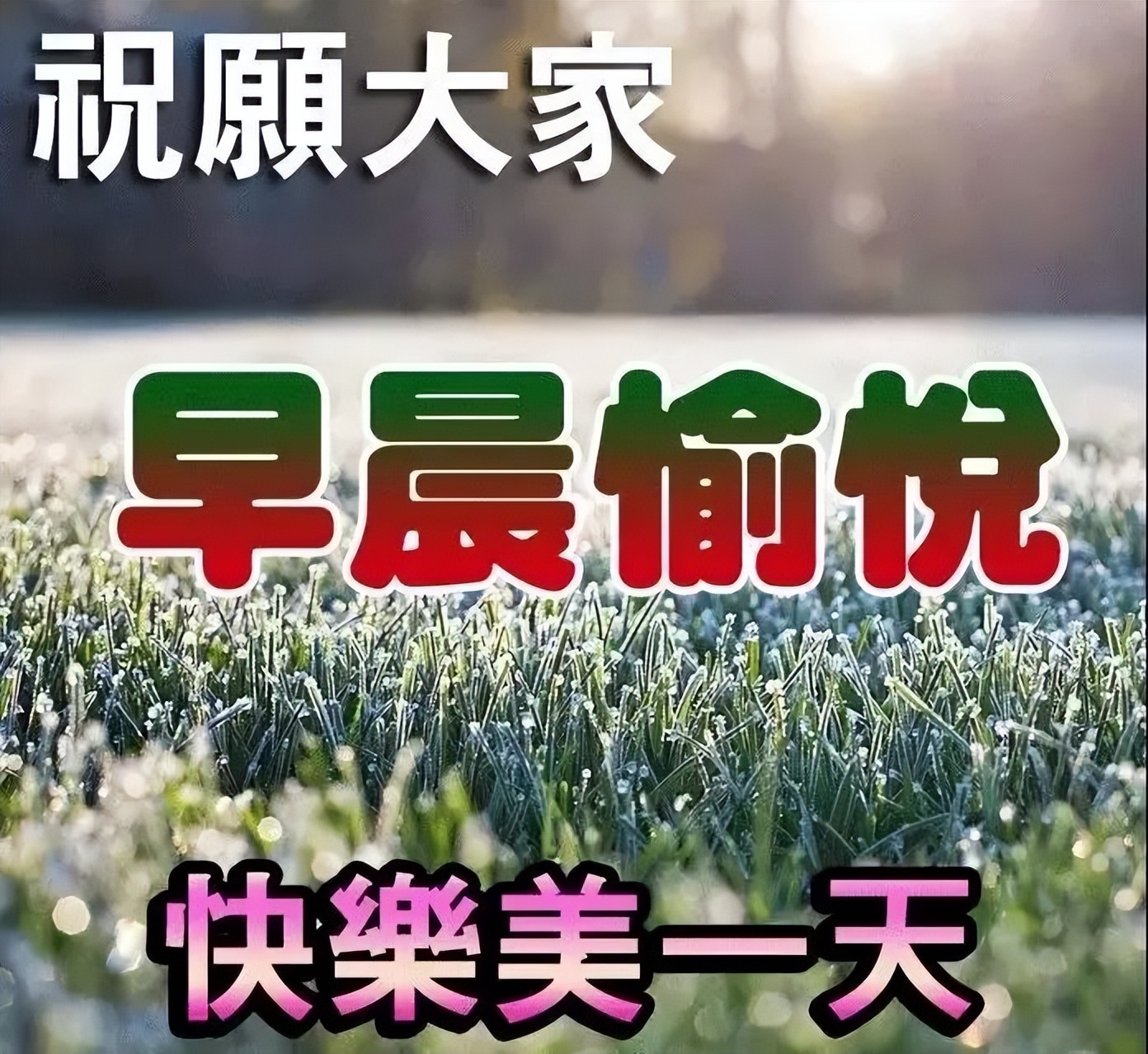 微信群发今日早上好表情包，平淡中享受才最珍贵，早安图片