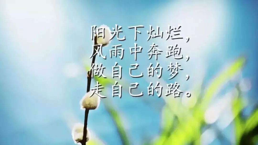 周六早上好温馨问候语，最美祝福送给您，做自己的梦，走自己的路图片