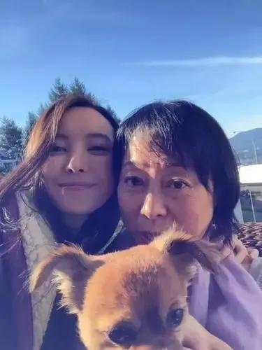 细数《浪姐3》哪几位明星有个悲惨童年