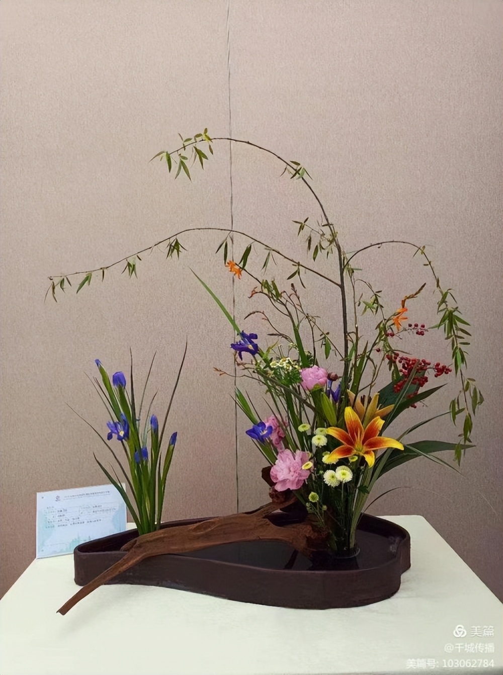 「瑞金發(fā)現(xiàn)@系列報道」花間悟道劉佩群