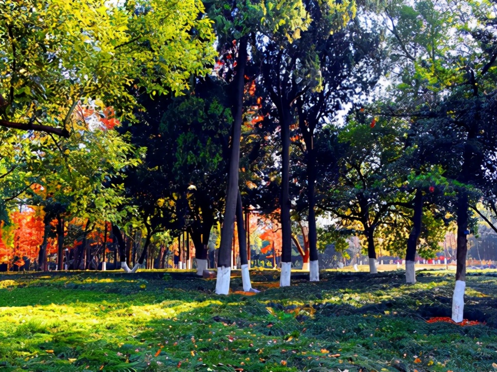 浙江旅游：感受南孔圣地衢州有礼的城市魅力（图）