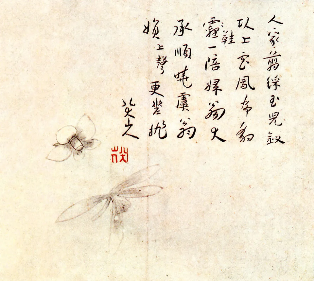 鷨ȫհס