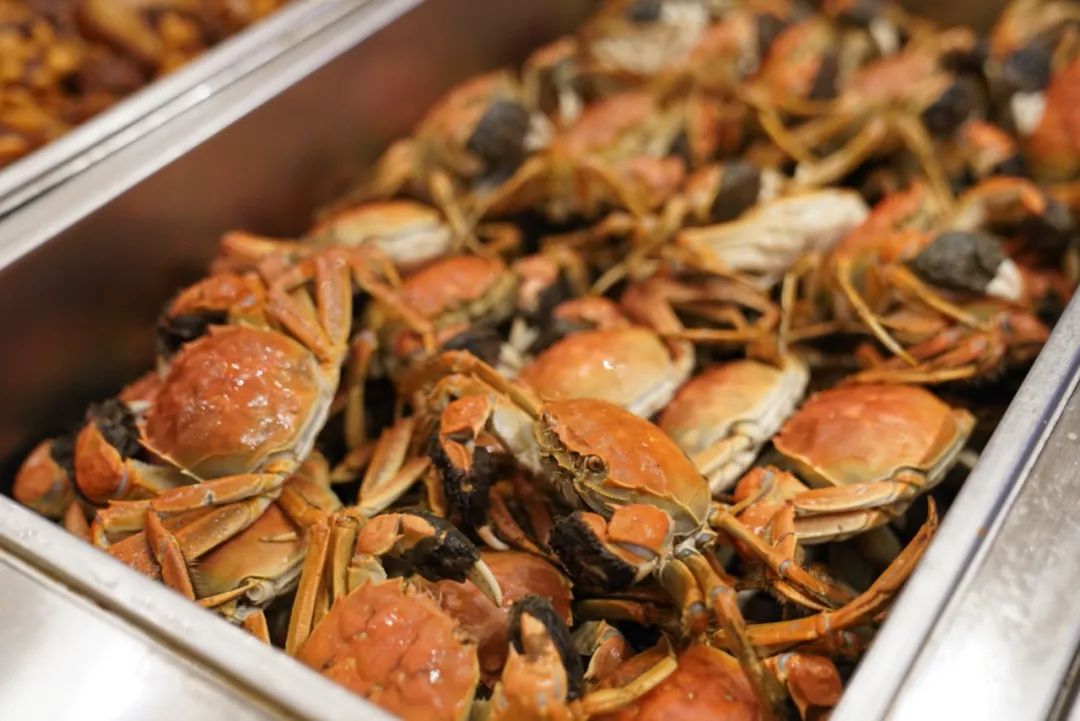 杭州吴越画室：2023届「定制班」招生简章，开启艺术的大门