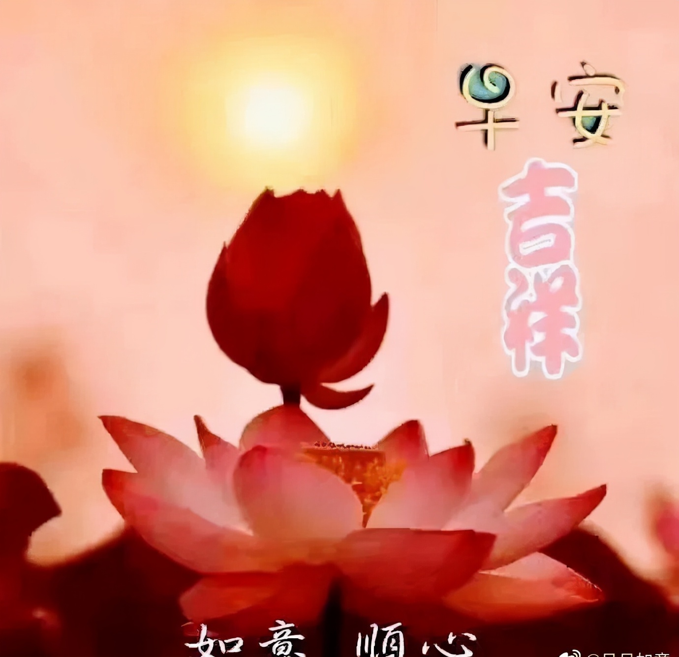 忙碌中保重自己,快乐中享受生活,早安