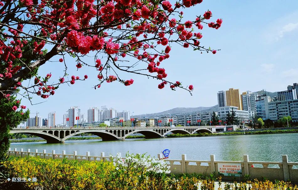 疫情挡不住春天的脚步，小编带你去看古城秦州的春暖花开