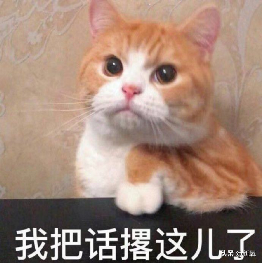 是给的太多了么？她俩之前可是厌恶舞台到顶级巡演都缺席不去…