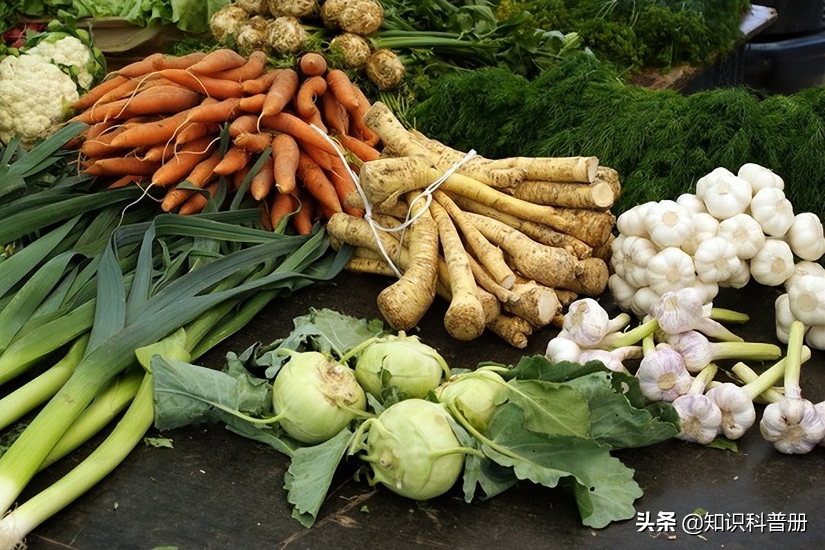 7种天然清洁肾脏的最佳草药(7种天然清洁肾脏的最佳草药是)