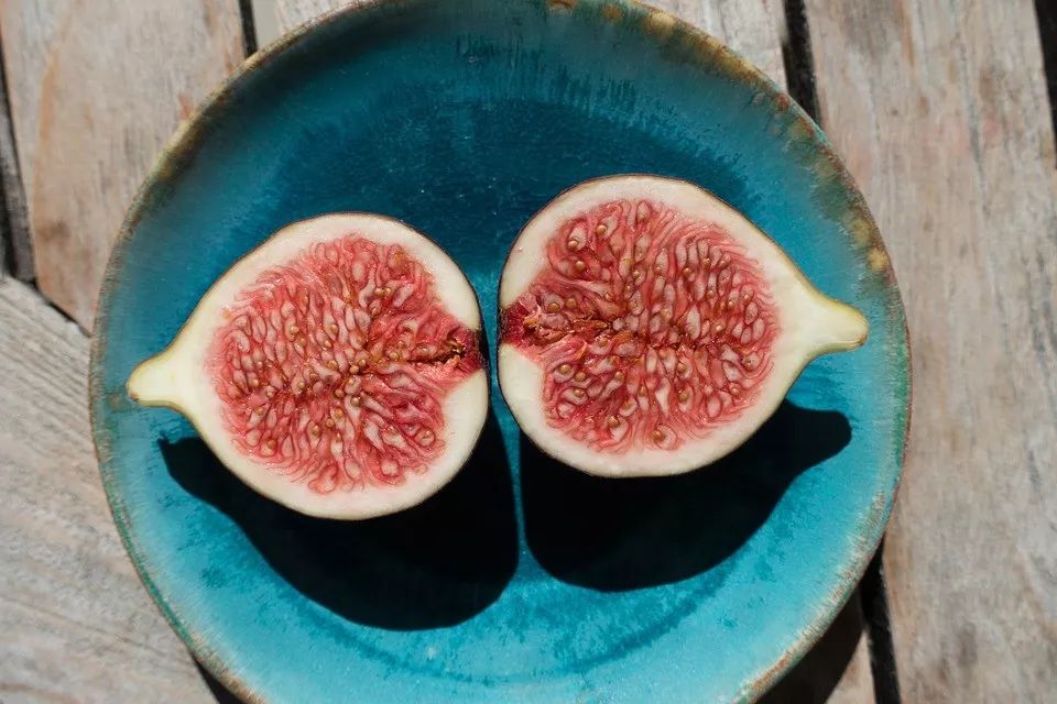 英语句子成分缩写在科研写作中的应用与规范