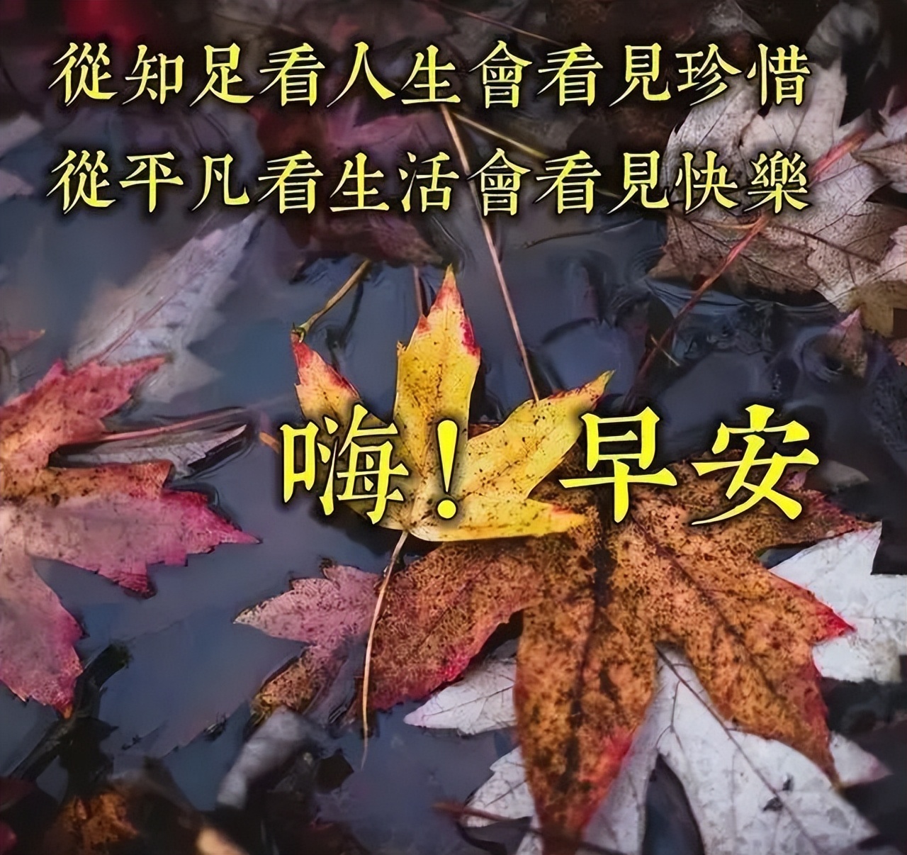 早上好微信早安心语励志语录分享，感谢好友一路相伴图片