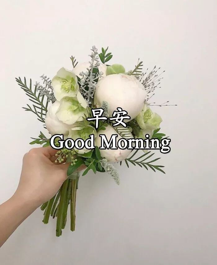 朋友圈祝福早上好语录文字图片 祝你生活顺畅、幸福无限图片