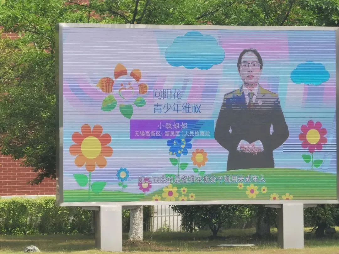 【向阳花开】 以法之名 护你青春无恙