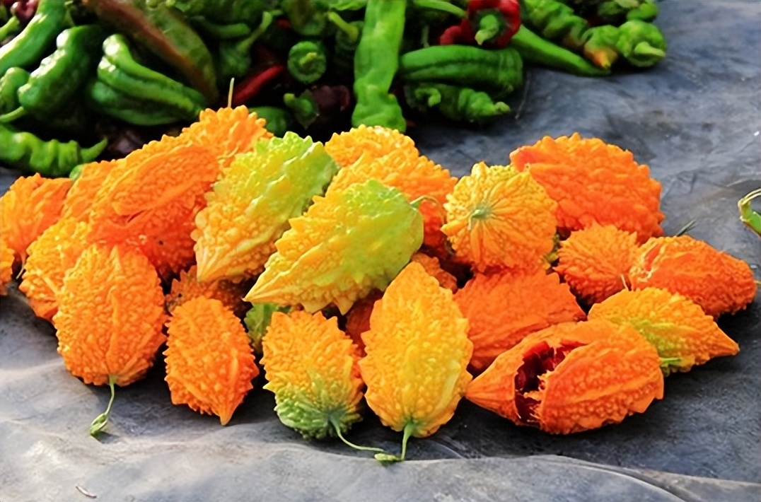 赖葡萄是苦瓜吗?